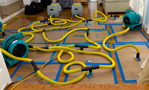 Professional Storm Water Damage Restoration technician working in Inwood, WV
